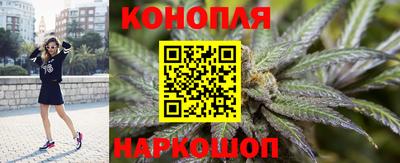 сатива Коммунар