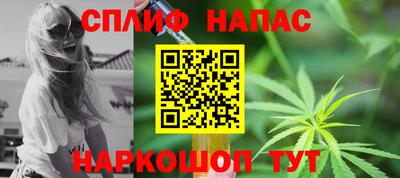 сатива Коммунар