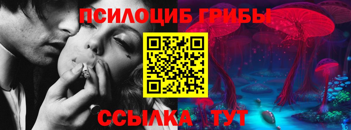 Ижевск  Псилоцибиновые грибы GOLDEN TEACHER  Вход с VPN  Галлюциногенные грибы прущие грибы 