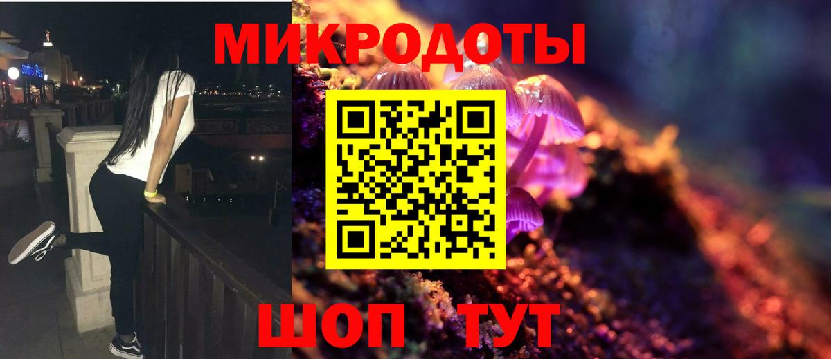Псилоцибиновые грибы Cubensis Ижевск